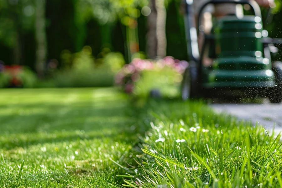 cordless self propelled lawn mower